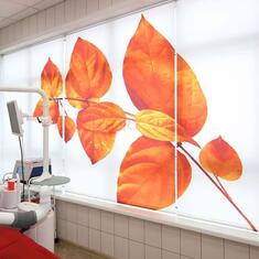 Жалюзи с рисунком цена. Купить в «Мастерская Жалюзи»